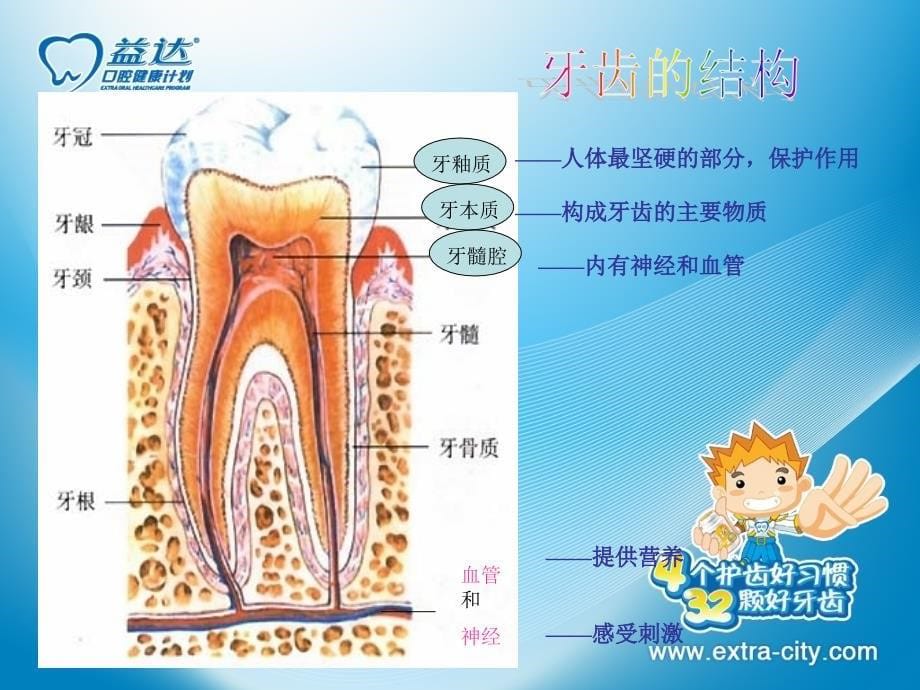 健康安全岛—保护牙齿PPT课件_第5页