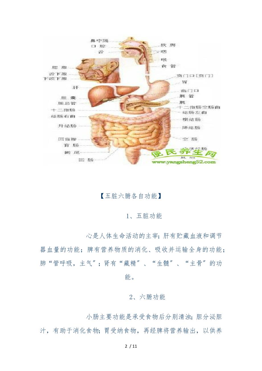 五脏六腑关系_第2页