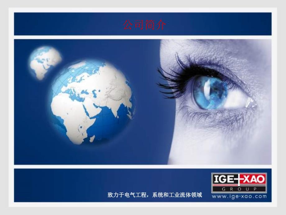 法国IGE公司简介_第1页