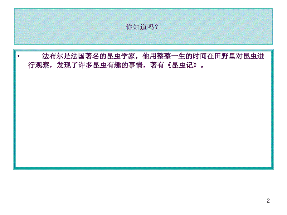 教科版科学放大镜下的昆虫世界ppt课件_第2页