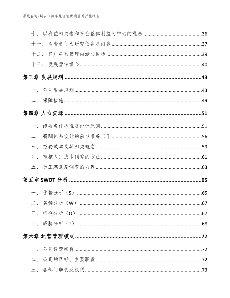 延安市共享经济消费项目可行性报告【模板范文】_第3页