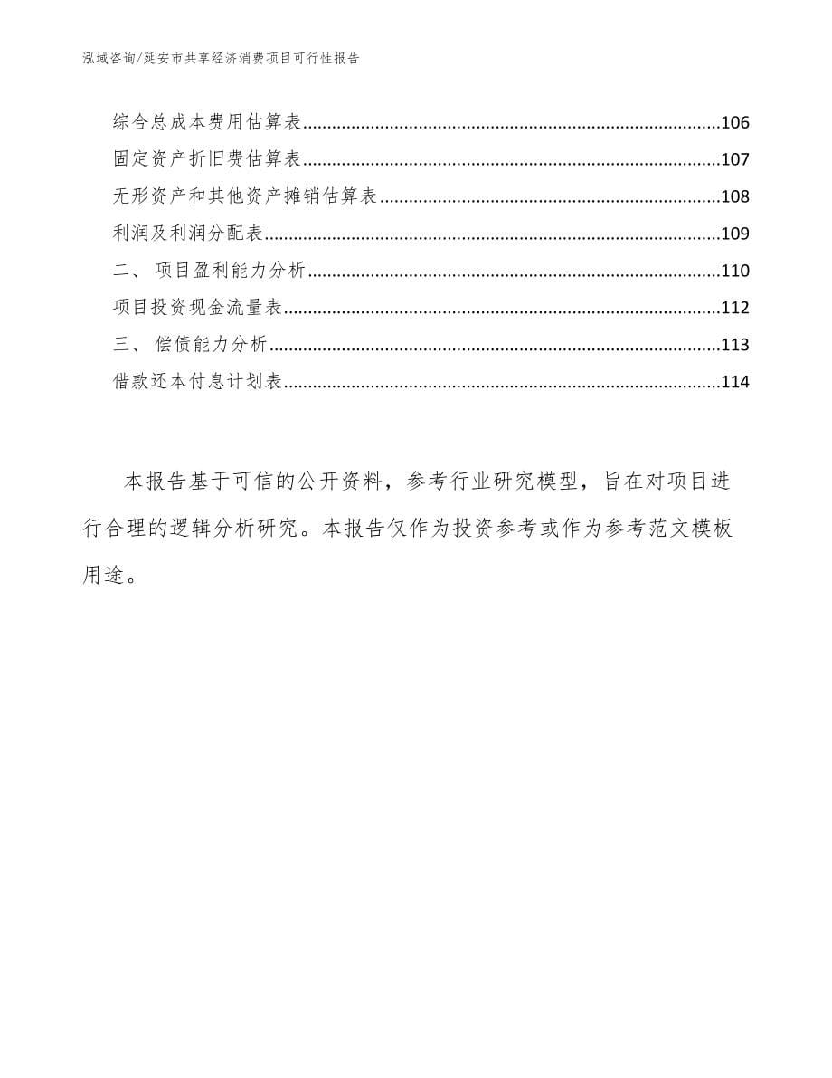 延安市共享经济消费项目可行性报告【模板范文】_第5页