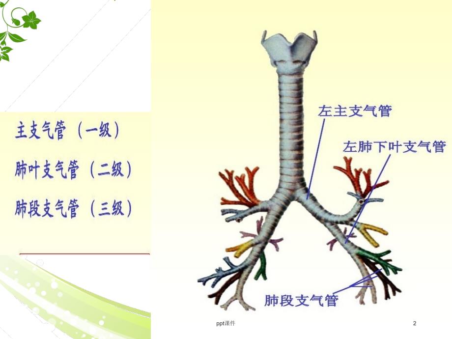 周围型肺癌--ppt课件_第2页