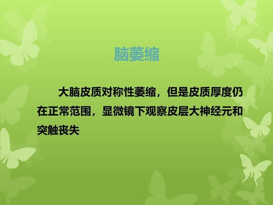 阿尔茨海默病(AD)的影像学诊断_第5页