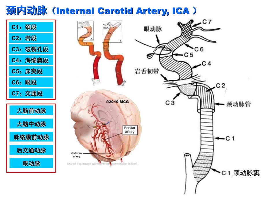 头颅血管脑动脉解剖与影像_第4页