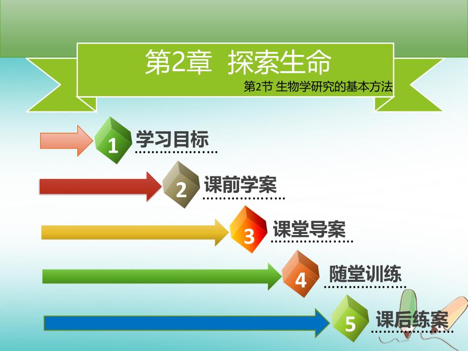 季七年级生物上册第一单元第2章第2节生物学研究的基本方法习题课件新版北师大版0920356_第2页