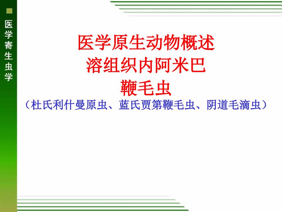 医学寄生虫学：医学原生动物 溶组织内阿米巴 鞭毛虫_第1页