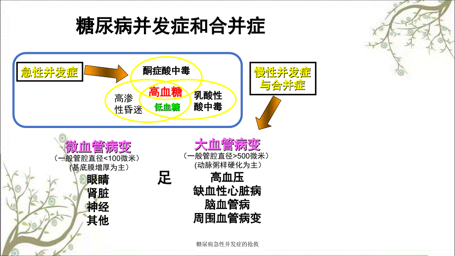 糖尿病急性并发症的抢救_第2页