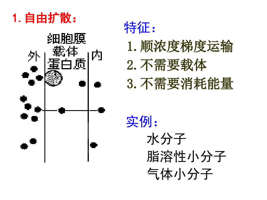 物质跨膜运输的方式(PPT33页)_第3页