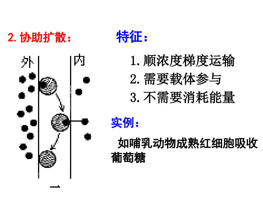 物质跨膜运输的方式(PPT33页)_第4页