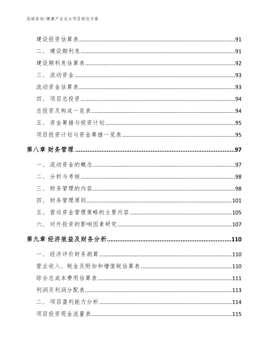 健康产业龙头项目规划方案（参考模板）_第5页