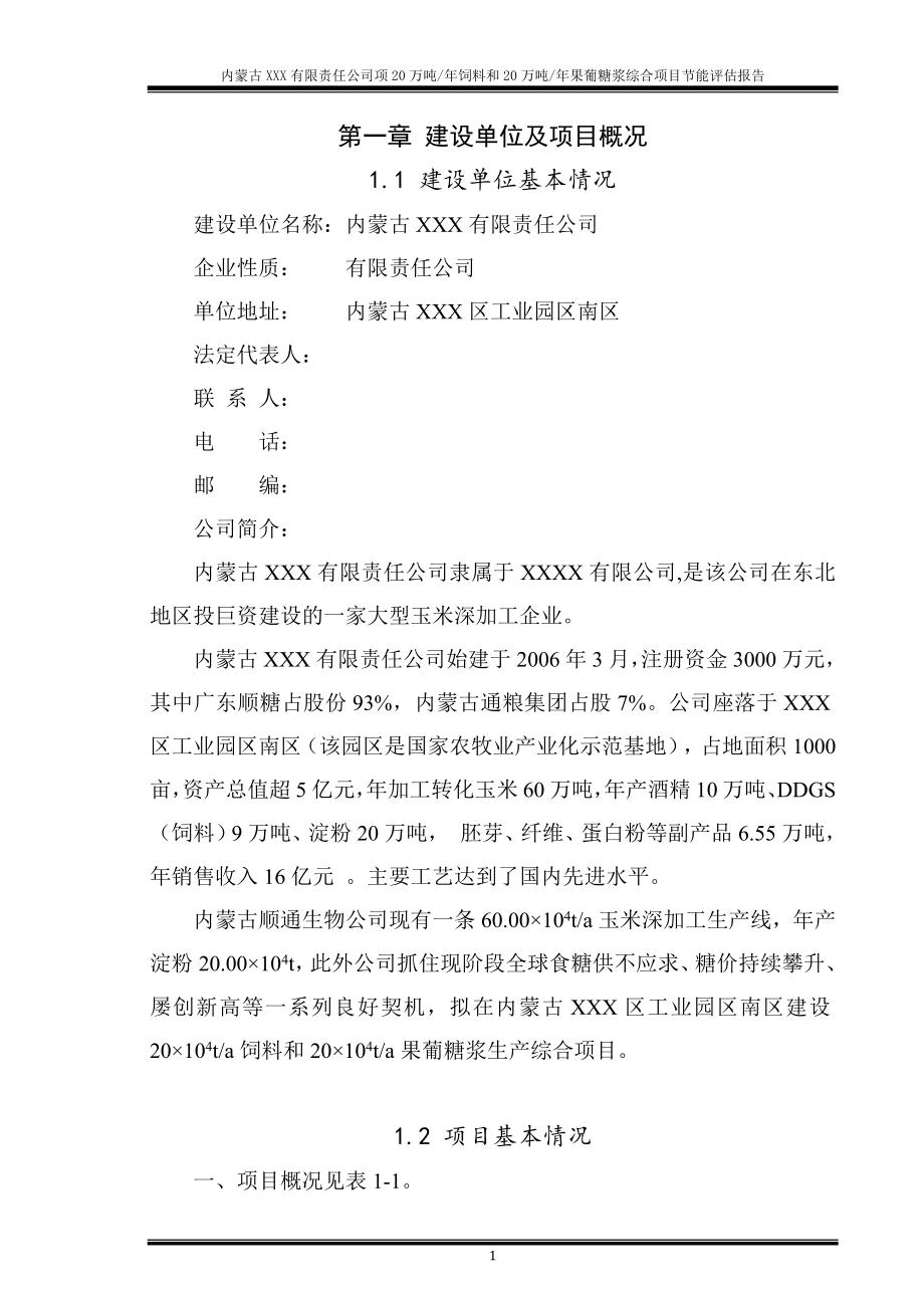 20万吨每年饲料和20万吨每年果葡糖浆综合项目节能评价报告_第1页
