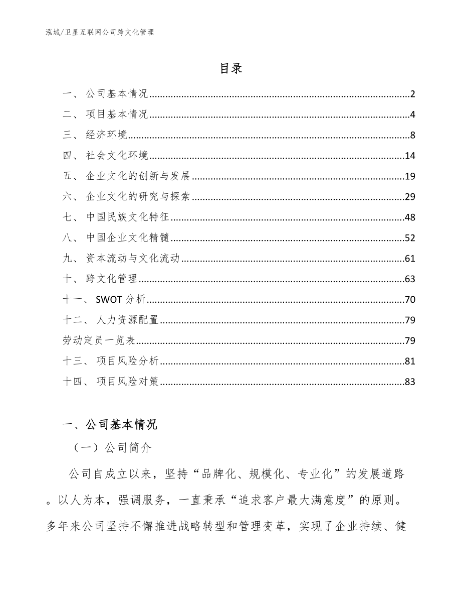 卫星互联网公司跨文化管理_第2页