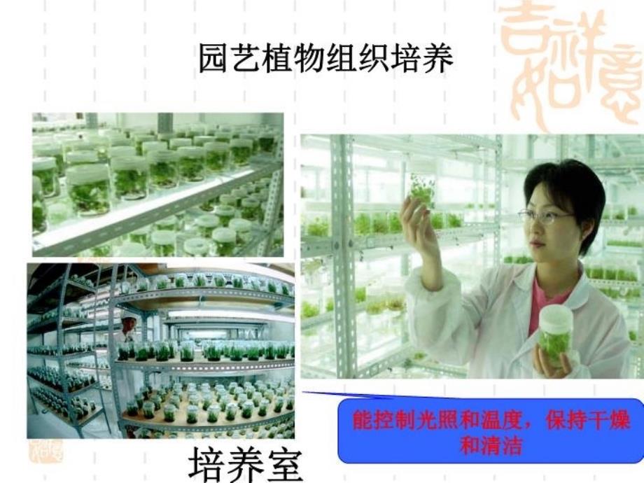 园艺植物组织培养复习过程_第3页