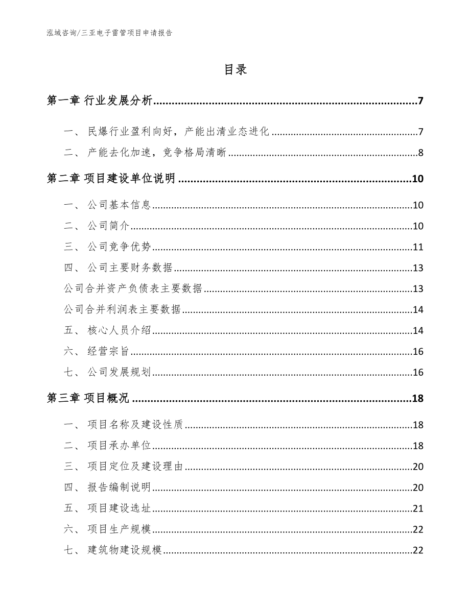 三亚电子雷管项目申请报告_第1页