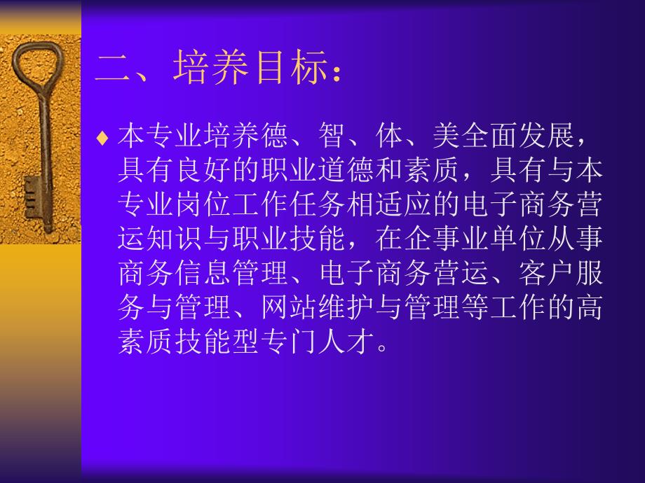 电子商务专业人才培养方案课件_第2页