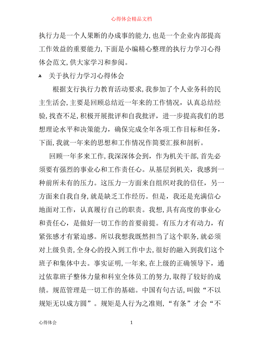 执行力学习心得体会范文_第1页