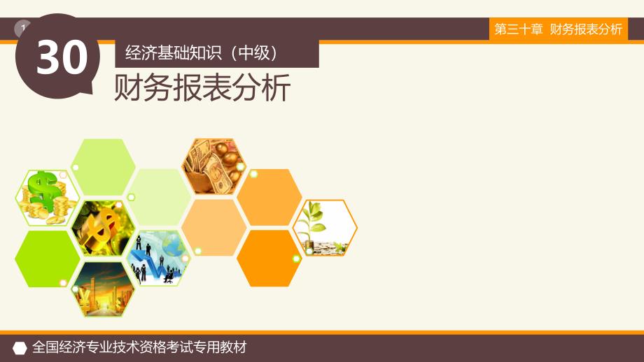 第30章财务报表分析精编版_第1页