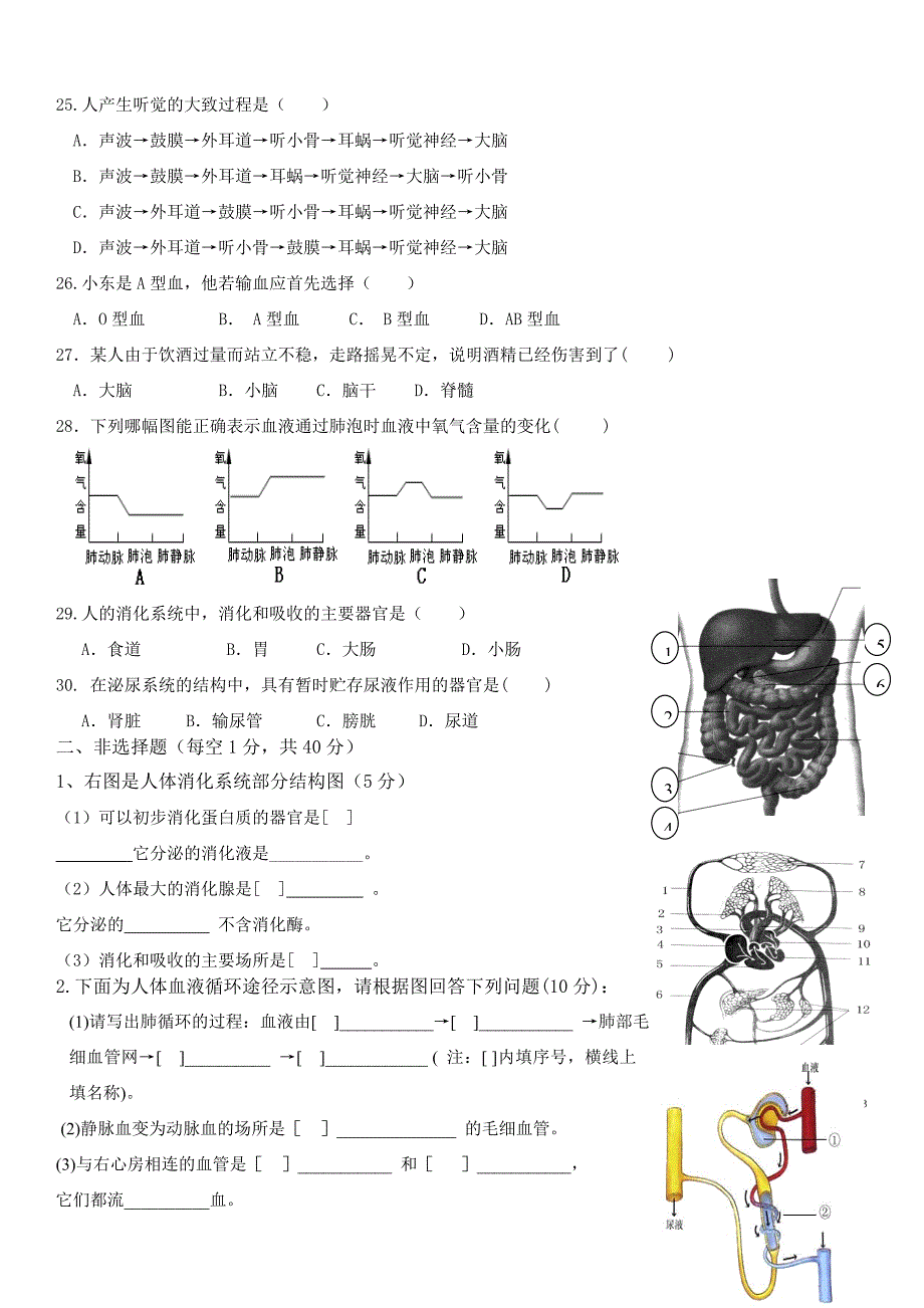 3、南阳中学2015学年七年级下册生物期末测卷二及答案_第3页