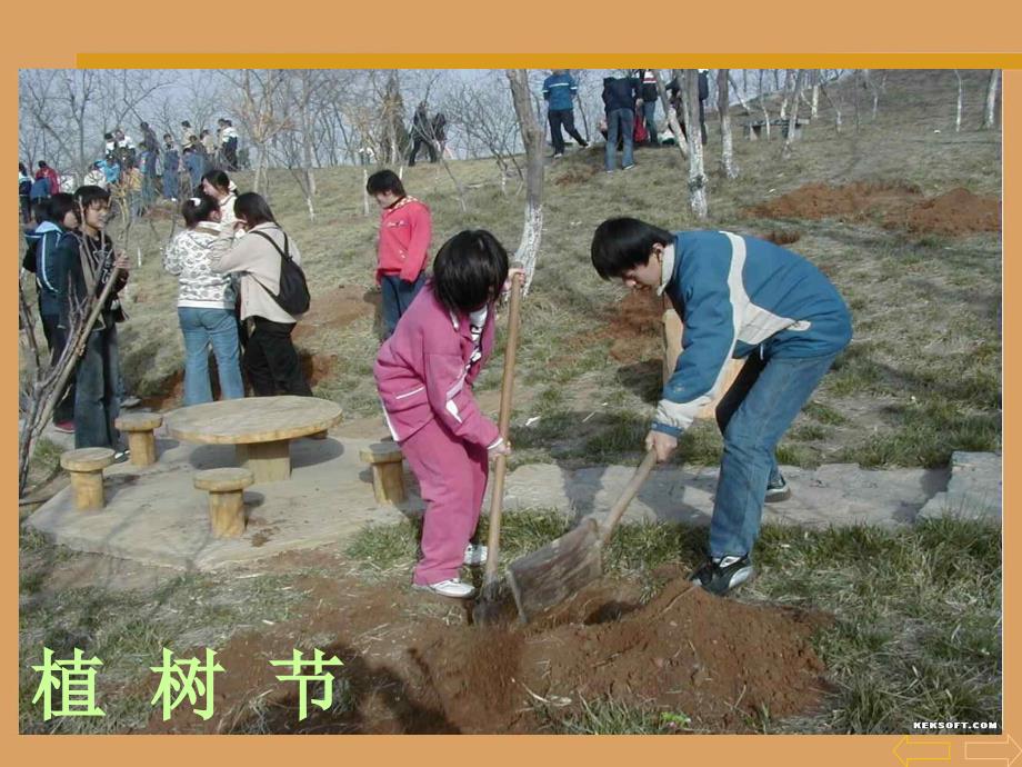 小学四年级数学乘法运算律_第3页