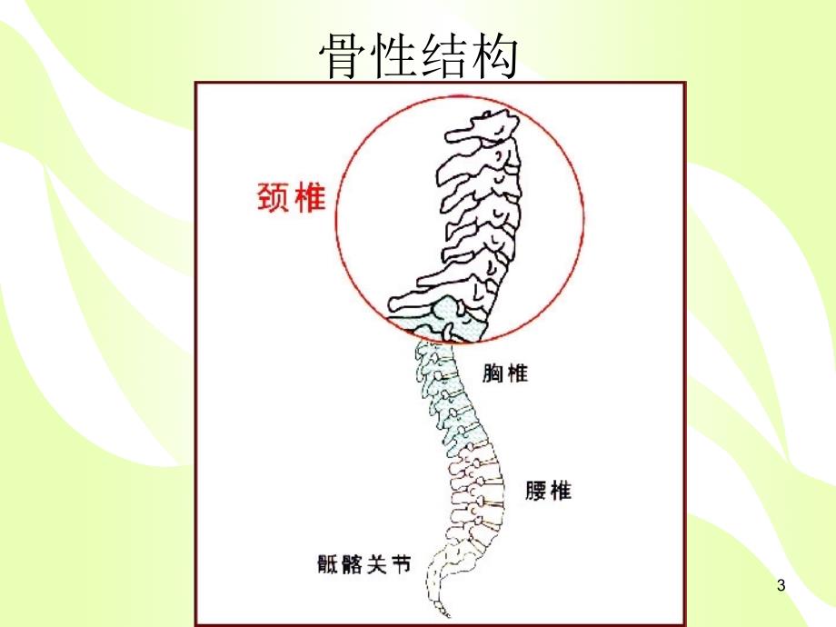 颈椎病的健康教育.课堂PPT_第3页