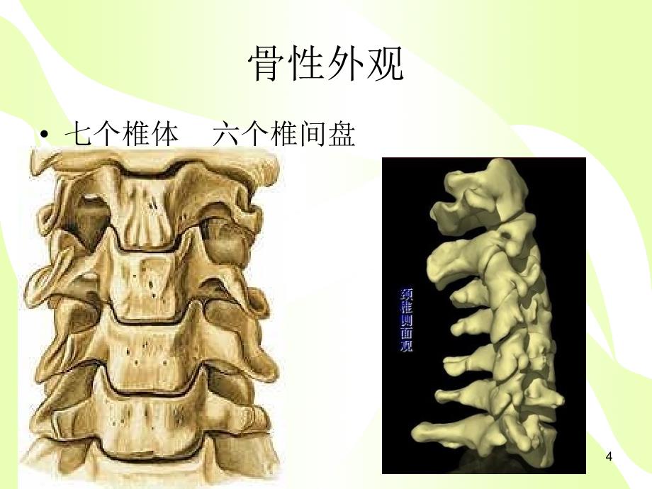 颈椎病的健康教育.课堂PPT_第4页