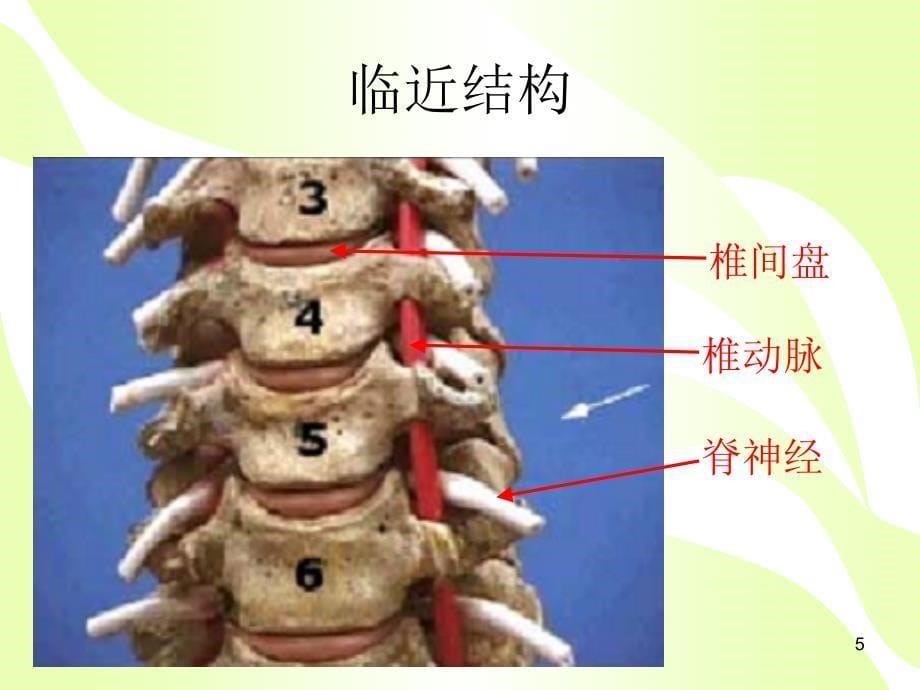 颈椎病的健康教育.课堂PPT_第5页