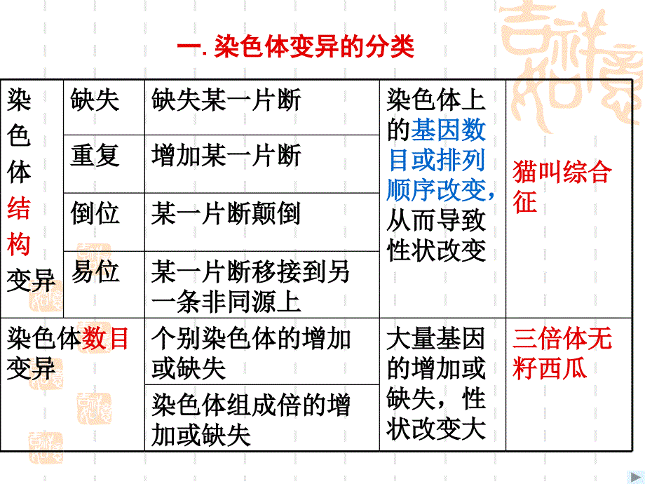 染色体变异高三生物一轮复习_第2页