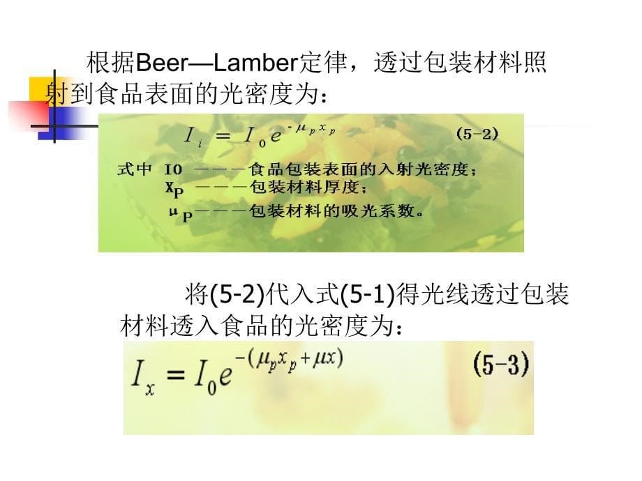 食品包装原理及方法PPT课件_第5页