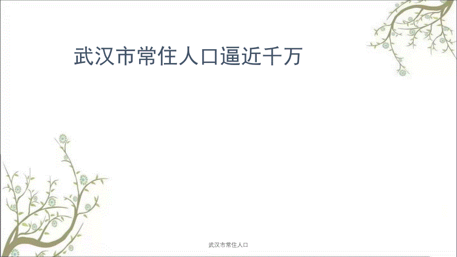 武汉市常住人口课件_第1页