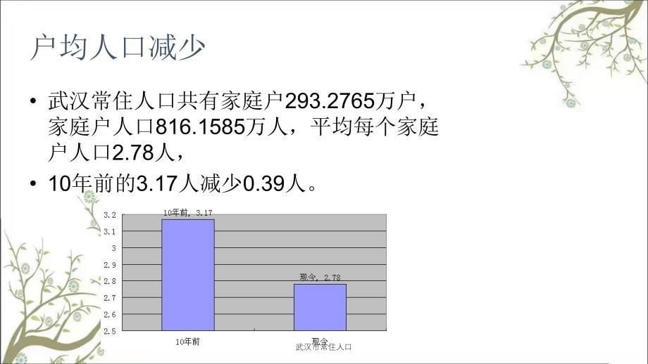 武汉市常住人口课件_第5页