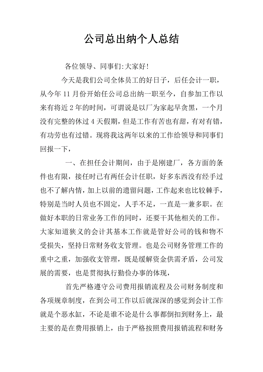 公司总出纳个人总结.doc_第1页