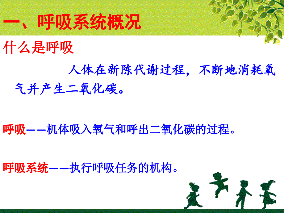 学前儿童卫生与保育第三节呼吸系统_第4页