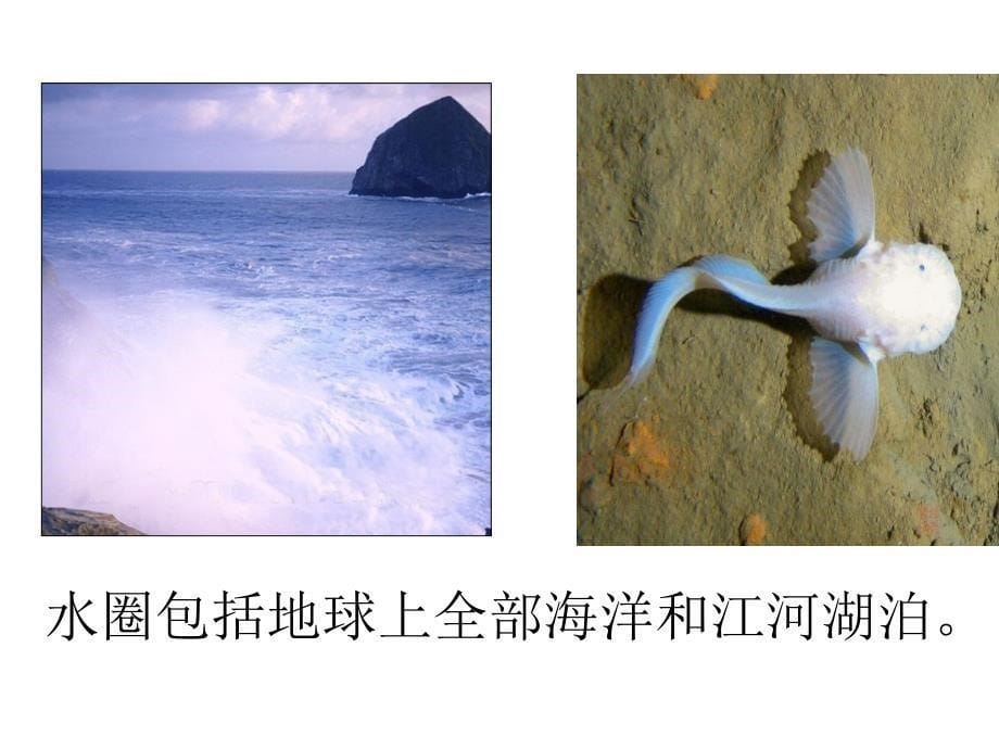 1.2.3生物圈是最大的生态系统.ppt_第5页