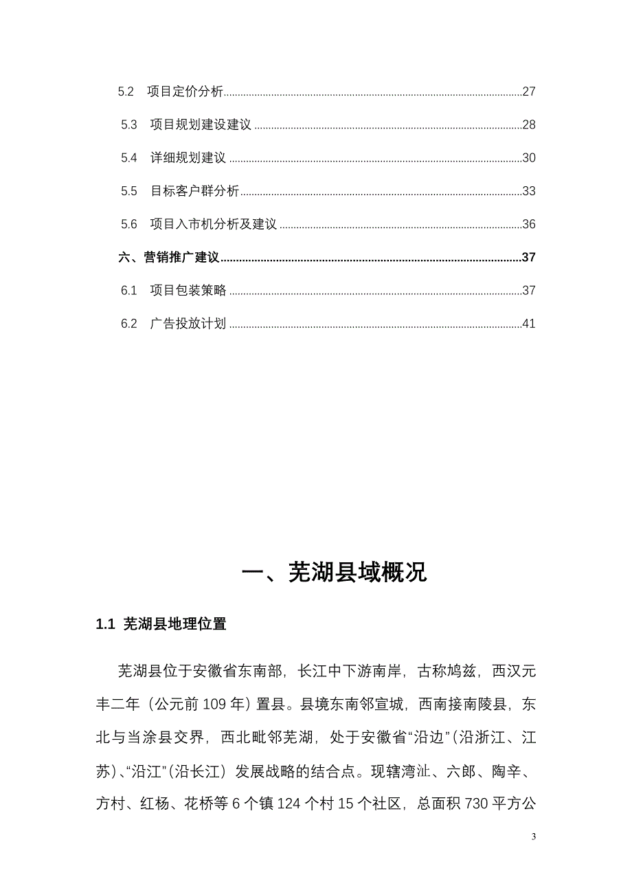 芜湖项目市场调查报告_第3页