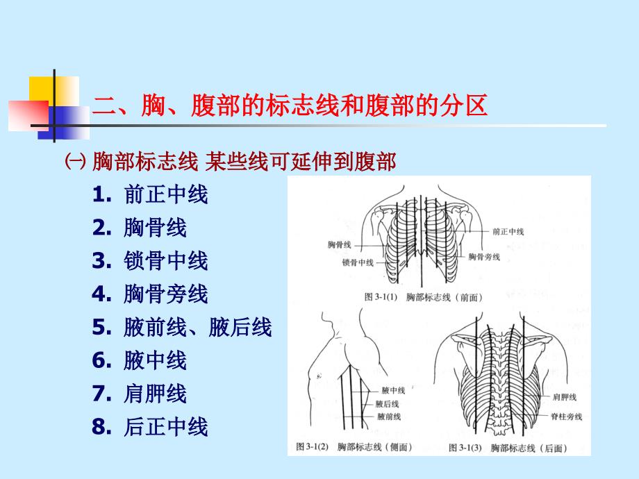 组织胚胎3教学提纲_第4页