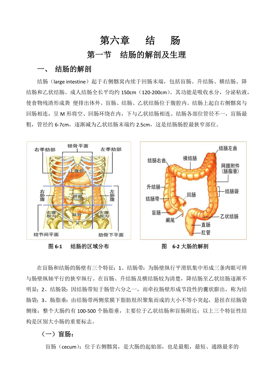 第一节--结肠解剖_第1页