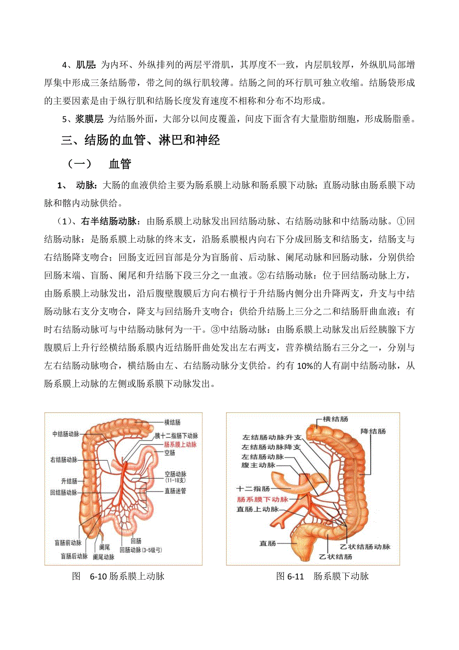 第一节--结肠解剖_第4页