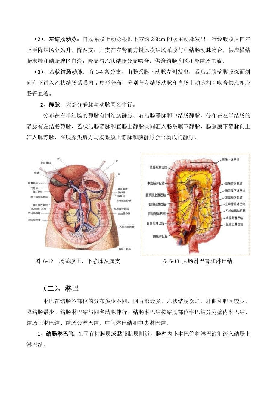 第一节--结肠解剖_第5页