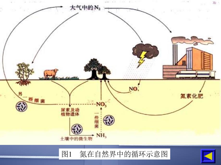 氮的循环第1课时课件_第3页