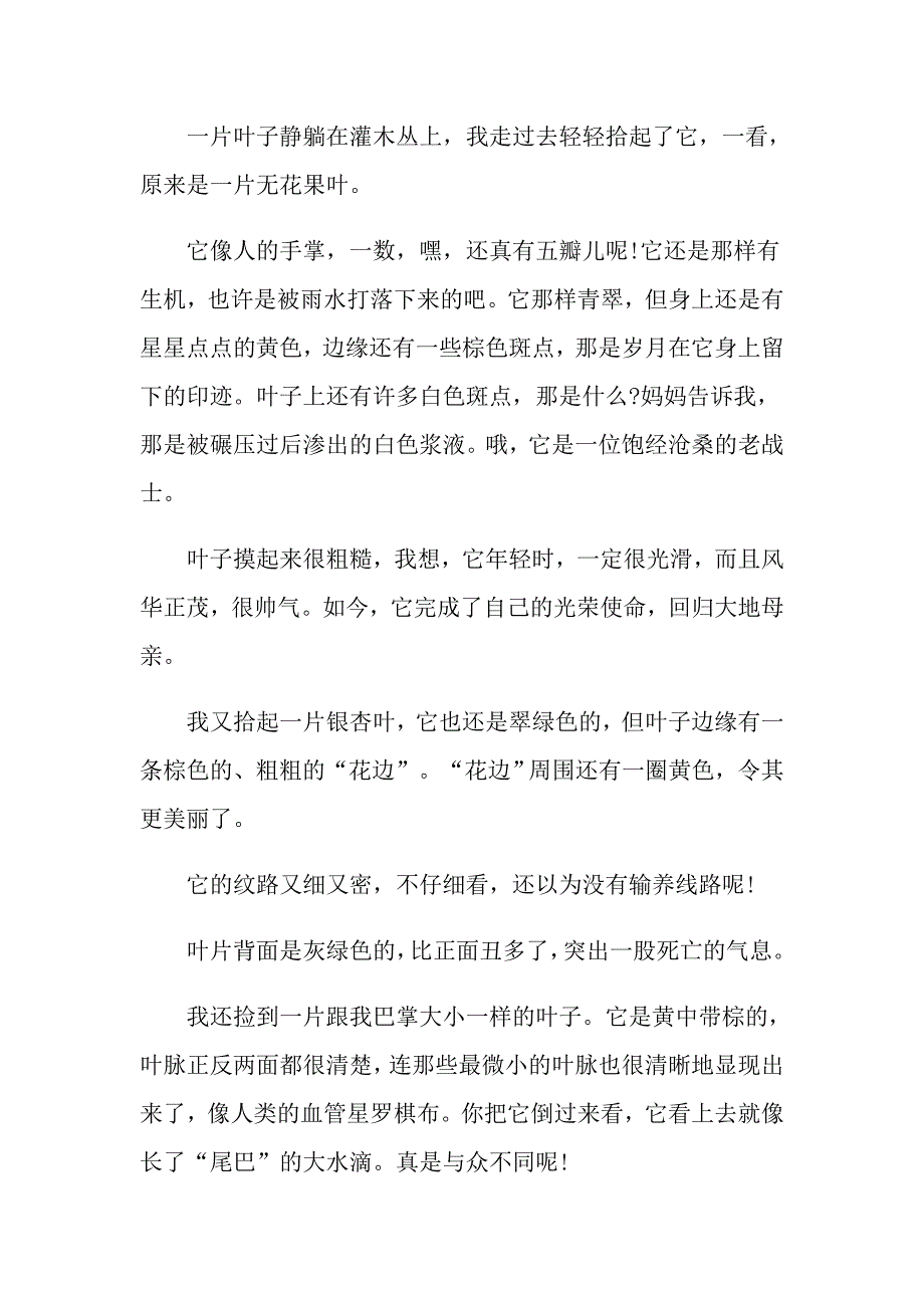 观察叶日记优秀范文500字_第4页