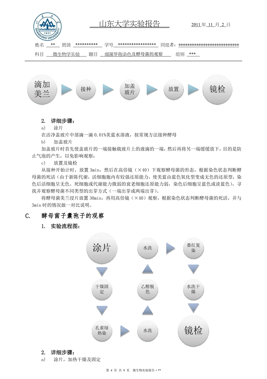 细菌芽孢染色及酵母菌的观察-山东大学_第4页