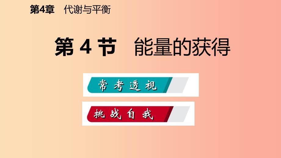 2019年秋九年级科学上册 第4章 代谢与平衡 第4节 能量的获得练习课件（新版）浙教版.ppt_第2页