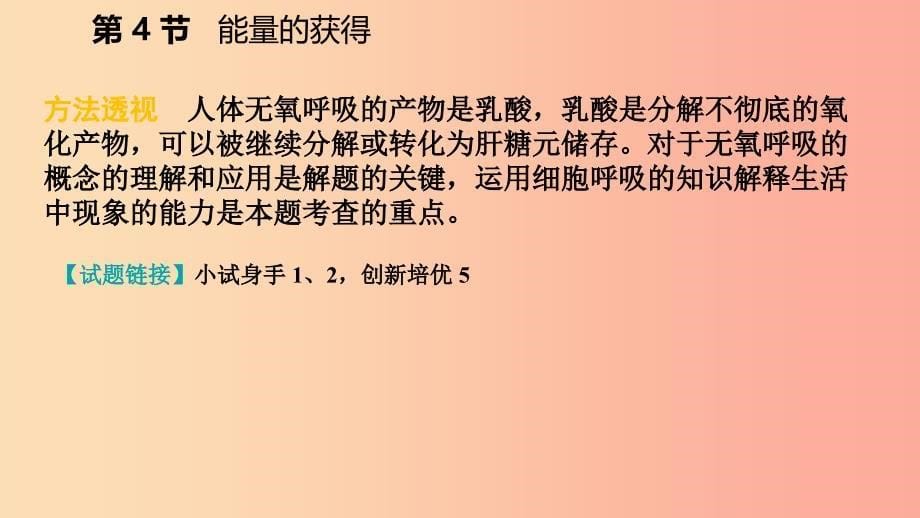 2019年秋九年级科学上册 第4章 代谢与平衡 第4节 能量的获得练习课件（新版）浙教版.ppt_第5页