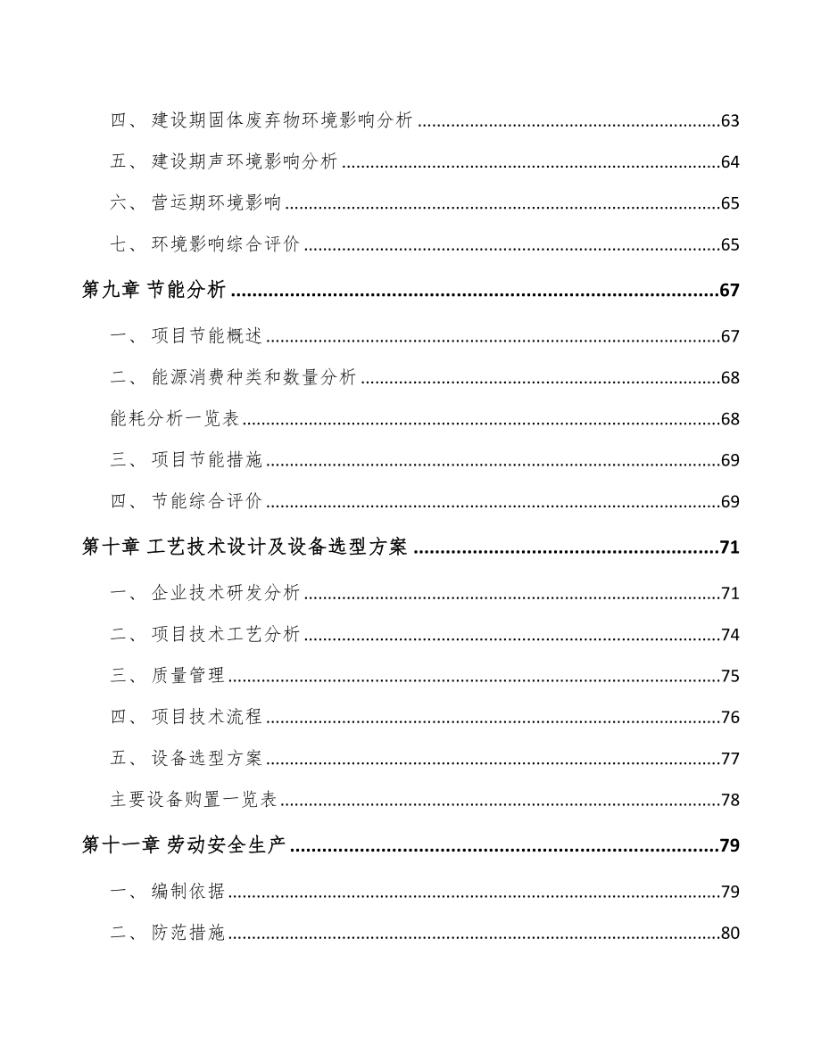 福州车侧装饰系统产品项目可行性研究报告_第3页