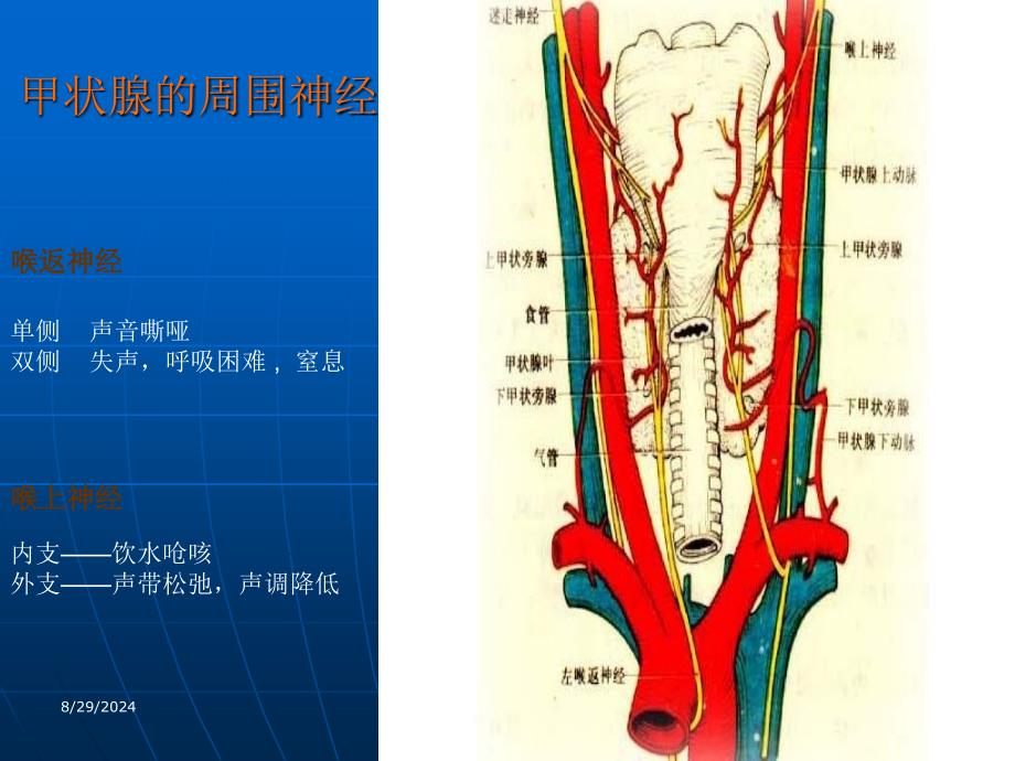 甲状腺肿护理查房PPT课件_第4页