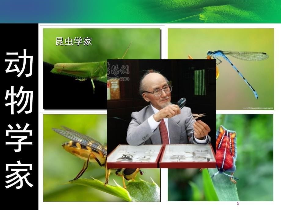 小学第一节科学课课堂PPT_第5页