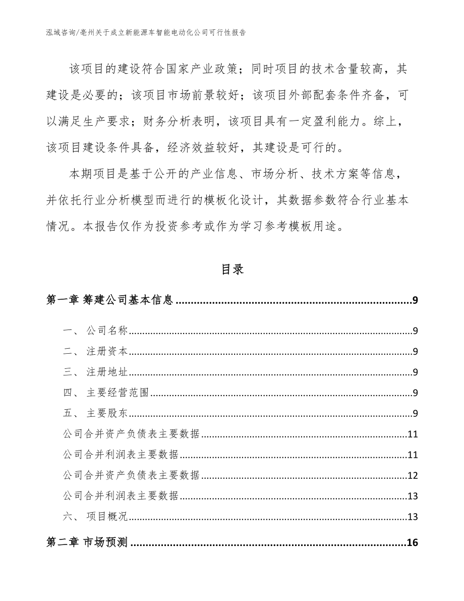 亳州关于成立新能源车智能电动化公司可行性报告【模板范文】_第3页