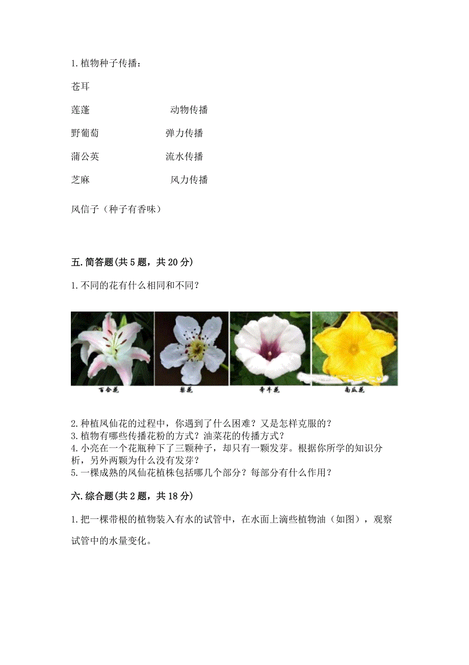 教科版科学四年级下册第1单元-植物的生长变化-测试卷及完整答案【必刷】.docx_第3页