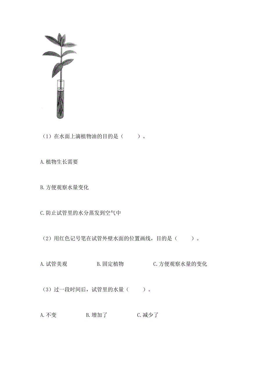 教科版科学四年级下册第1单元-植物的生长变化-测试卷及完整答案【必刷】.docx_第4页